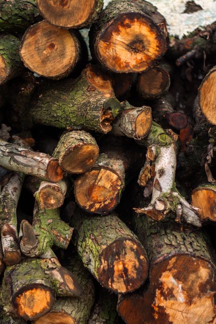 Close-up image of a stack of chopped logs with visible wood grain and rough bark, arranged outdoors on a pavement or ground area. The logs vary in size, with some showing fresh cut surfaces revealing 